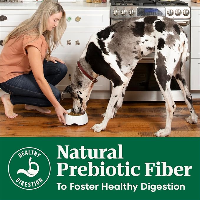 Nutro Natural Choice Large Breed Adult Dry Dog Food, Lamb & Rice, 30 lb | Real lamb #1 ingredient, non-GMO, no corn, wheat, soy, crafted in USA, supports joints, digestion, immunity, skin & coat