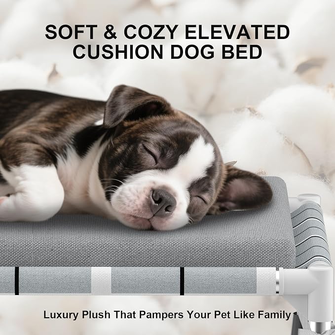 Elevated Dogs Bed with Cushion, Raised Cooling Lifted Outdoor Dog Mat Beds | Small Portable Lifted Pet Cot Stainless Steel Frame Indoor Outside Breathable Hammock Beds