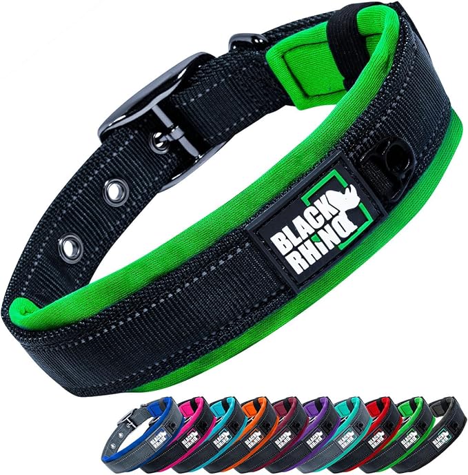 Black Rhino Dog Collar for Medium Dogs - Adjustable Reflective Heavy Duty Dog Collar with Ultra-Soft Neoprene Padding - Weatherproof, Durable, and Comfortable - Ideal for Active Dogs - Green and Black