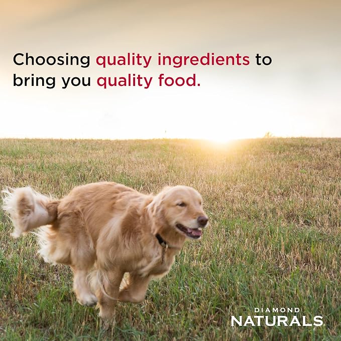 Diamond Naturals Small Breed Adult Dry Dog Food, Lamb & Rice, 6lb | Balanced Nutrients for Small Breed Dogs | Omega Fatty Acids for Skin & Coat Health | Probiotics for Digestive Support