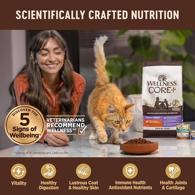 Wellness CORE+ Adult Dry Cat Food for Infoor Cats, Natural, Grain Free Kibble, Salmon and Herring Meal Recipe, 5 lb Bag