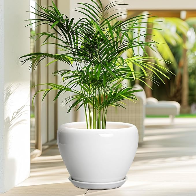 Ceramicfor Ceramic Pot for Plants - 10 Inch Planter with Drainage Hole and Saucer, Glaze Modern Round Flower Pot for Indoor Plants, Housewarming Gift, Home Decor, White