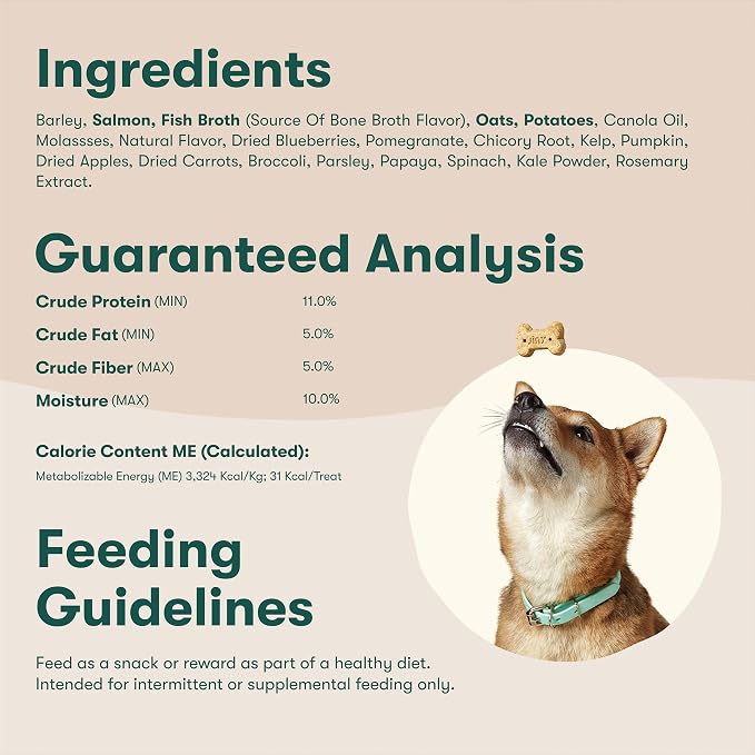 Jinx Dog Biscuits, Oven-Baked Dog Treats with Salmon Bone Broth, 16oz | 1-Pack Crunchy & Healthy Dog Treat, Superfood-Rich with Real Salmon, Dog Cookies for Puppies, Adults & Senior Dogs
