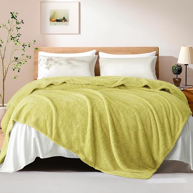 Exclusivo Mezcla Fleece Bed Blankets King Size for Bed, 90" x 104" | Super Soft and Cozy Fluffy Blanket for Women, Lightweight and Fuzzy Large Blanket for Bedroom , All Season, Light Green