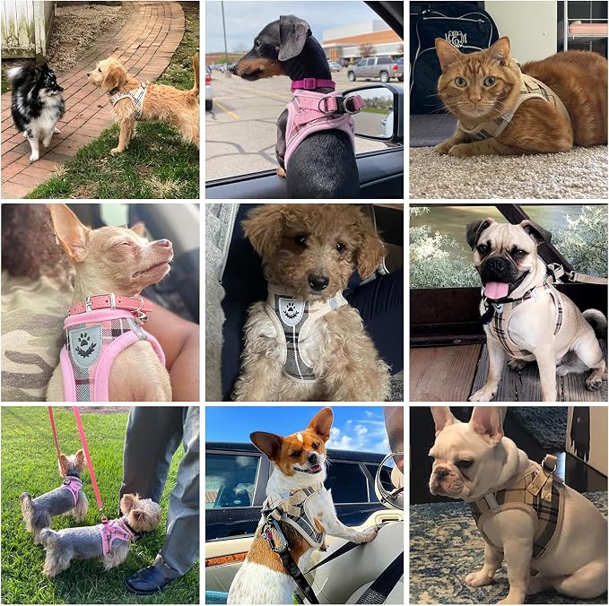KOOLTAIL Dog Harness for Small Medium Dogs ,Dog Harness and Leash Set, Step in No Pull Soft Mesh Padded Adjustable and Reflective Pet Vest Harness Puppy, Plaid Extra Harness for XS S Dogs, Pink S