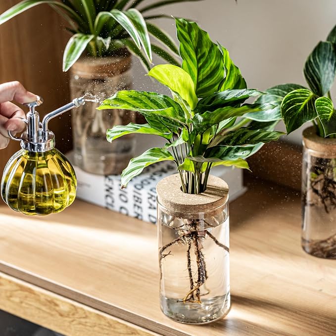 Propagation Vases for Plants, Set of 6(3 Large & 3 Small) Glass Plant Propagation Stations, Plant Propagation Jars for Home Office Windowsill Tabletop Decoration (6)
