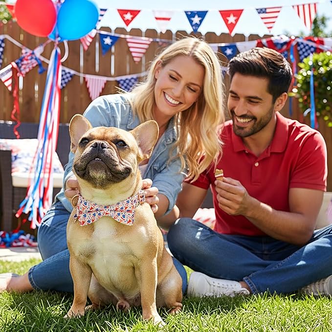 ADOGGYGO Patriotic Dog Collar with Bow Tie, Detachable Ice Cream Print Bowtie, Adjustable 4th of July Collar for Medium Dogs (M)