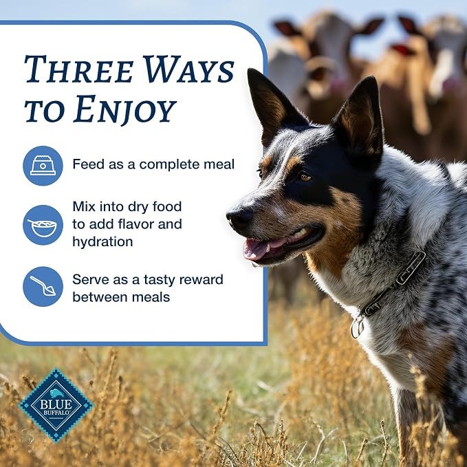 Blue Buffalo Family Favorites Adult Wet Dog Food, Made with Natural Ingredients, Sunday Chicken Dinner, 12.5-oz Can, 12 Count (Pack of 2)