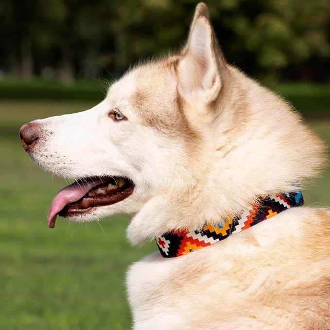 CollarDirect Aztec Dog Collar Adjustable Nylon Tribal Pattern Geometric Pet Collars for Dogs Small Medium Large Puppy (Ethnic Teal, Neck Fit 12"-16"