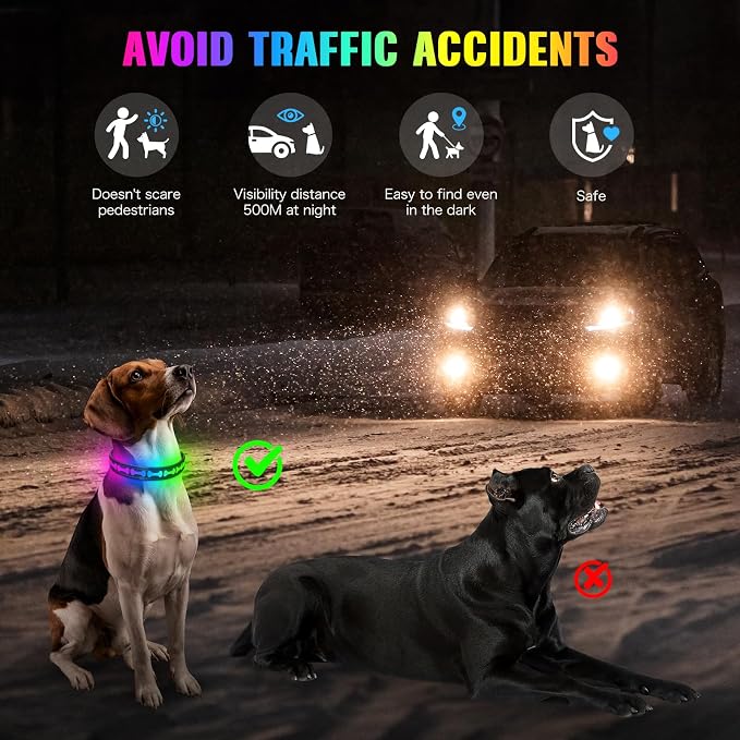 Flashseen LED Dog Collar Light up USB Rechargeable, 7-Color Glow, Grey, S
