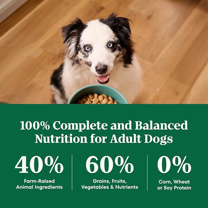 Nutro Natural Choice Large Breed Adult Dry Dog Food, Lamb & Rice, 30 lb | Real lamb #1 ingredient, non-GMO, no corn, wheat, soy, crafted in USA, supports joints, digestion, immunity, skin & coat
