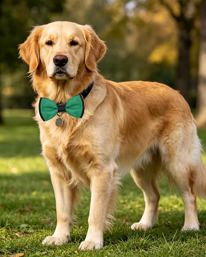 PET SHOW 5 Pack Mixed Color Dog Bowties for Large Dogs Slide on Collar
