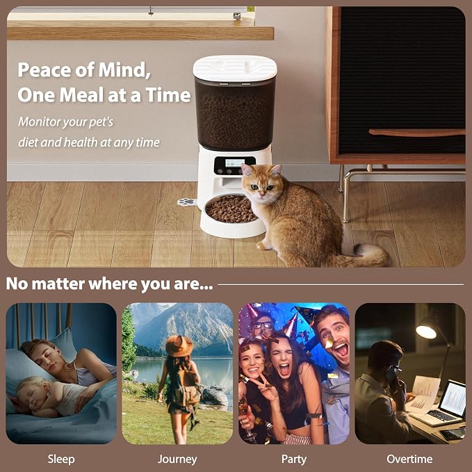 Petrice Automatic Cat Feeder, 4L/16Cups Cat Food Dispenser with Stainless Steel Bowl 30 Portions 6 Meals per Day, Programmable Auto Cat Feeder for Kitty Small Dogs with 10S Voice Record, White