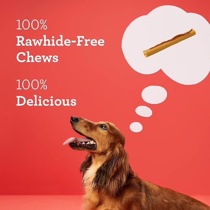 DreamBone DreamSticks with Real Bacon and Cheese Flavor, Rawhide Free Dog Chew Sticks 15 Sticks | Daily Chew, Digests Safely and Completely, Made With Real Bacon, Cheese, Chicken & Veggies, For Adult Dogs