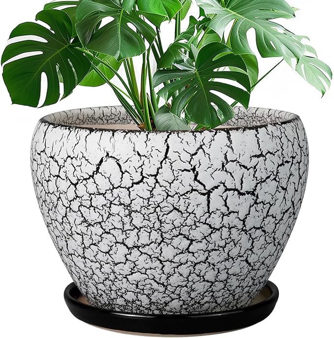 Ceramicfor Ceramic Planters for Indoor Plants - 10 Inch Plant Pot with Drainage Hole and Saucer, Large Flower Pot for Home Decor, White/Black
