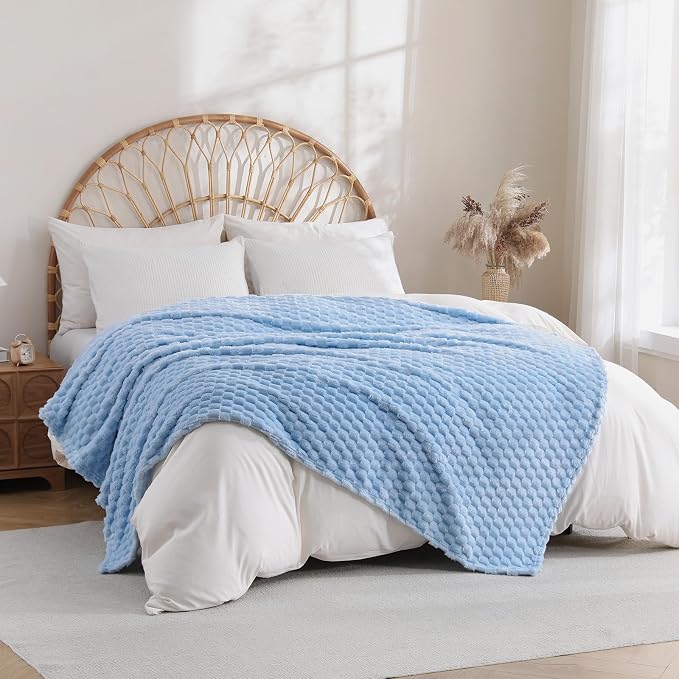 Light Blue Fleece Throw Blanket 50"×60" for Couch Sofa Bed | Super Soft Cozy Plush Microfiber Flannel, 3D Jacquard Lightweight for Mom Woman