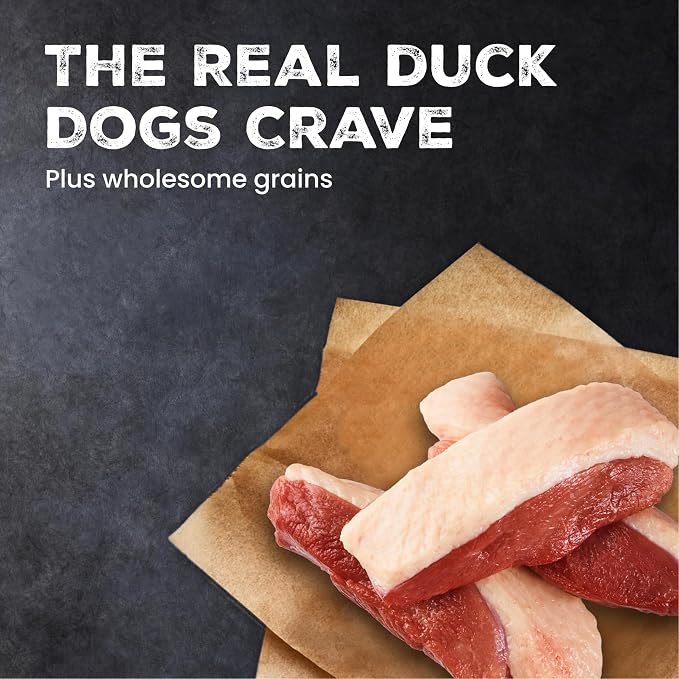 Blue Buffalo Wilderness Duck & Wholesome Grains Adult Dry Dog Food, 28 lb | 39g Protein, Real Duck #1 Ingredient, Antioxidant-Rich Fruits & Veggies, High Protein to Fuel Adventures