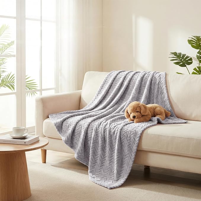 Exclusivo Mezcla Large Fleece Throw Blanket for Couch, Sofa, Light Grey | 50"x70" Soft Breathable Lightweight Flannel Throws for Summer, Plush Cozy Jacquard Wave Blanket for Home Decor