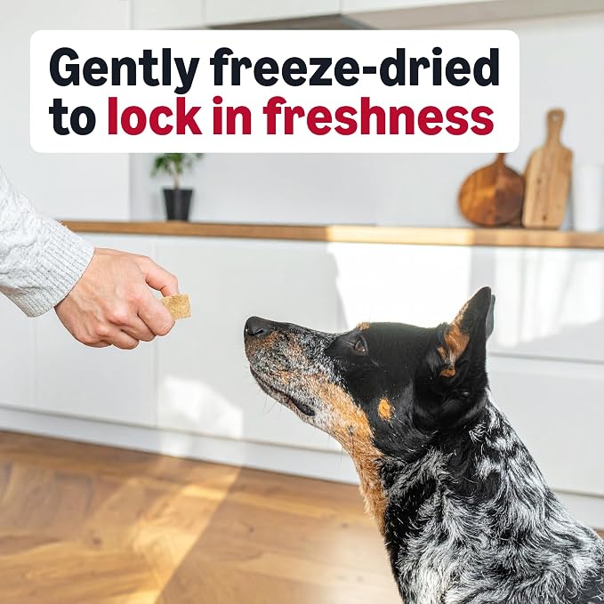 Amazon Basics Freeze-Dried Raw Single Ingredient Dog Treats (Previously Wag), Beef Liver, High Protein, Grain-Free, 3.3 Ounce, Packaging May Vary (Pack of 2)