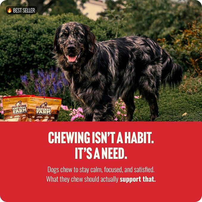 Natural Farm Odor Free Bully Sticks (4 Inch, 75 Pack) for Small & Medium Dogs - 100% Beef Chews for Pups, Non-GMO, Grain-Free, Fully Digestible Long Lasting Dog Treats