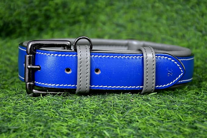 Airtag Luxury Real Leather | Genuine Leather Soft Padded Dog Collar for Medium Large Dogs | Leather with Anti -Rust Hardware (Size - L) Fits Neck 18, 19, 20 & 21 inches