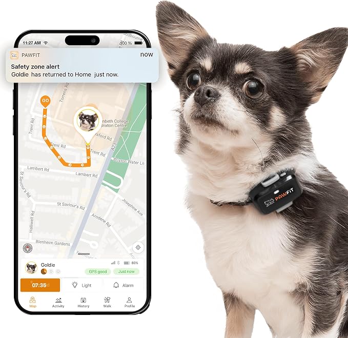 Pawfit Lite 4G GPS Dog Tracker, Live Tracking, Ultra-Light, Onyx Black