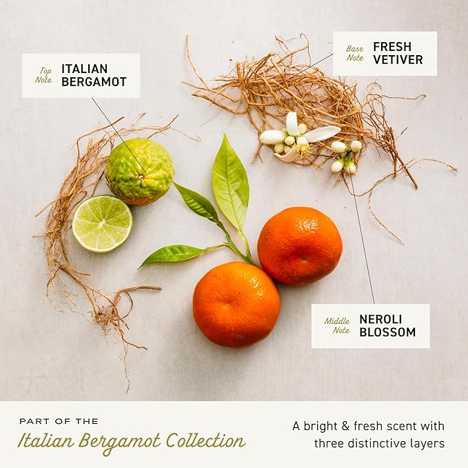 Cremo Cologne For Men - Italian Bergamot Mens Cologne Spray, A Combination of Italian Bergamot, Neroli Blossom, and Fresh Vetiver, Multi-Layered Signature Men's Fragrances, 3.4 Fl Oz