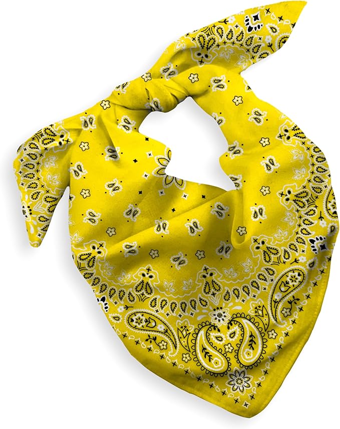 Gift Packaging Bandana for Men Women - 100% Cotton, Paisley, 22x22 In, 1 Pack - Large Bandanna Handkerchief Cowboy Hanky
