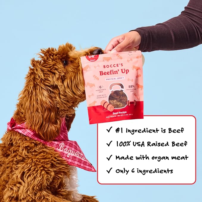 Bocce's Bakery Beefin' Up Protein Jerky Dog Treats, Beef (5 oz) | High-Protein, Wheat-Free, Limited-Ingredient Treats with No Added Salt or Sugar - Baked in The USA