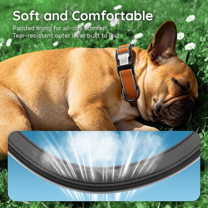 Reflective Dog Collar with QR Code Tag, Orange, S (9.8"-15.7")