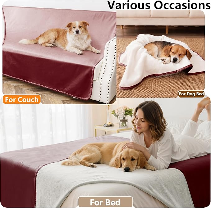 Waterproof Blanket - Reversible Dog Throw as Furniture Protector | Soft Velvet & Flannel, TPU Leak-Proof Liner, Machine Washable, Fits Couch and Bed, 68" x 82", Burgundy/Cream