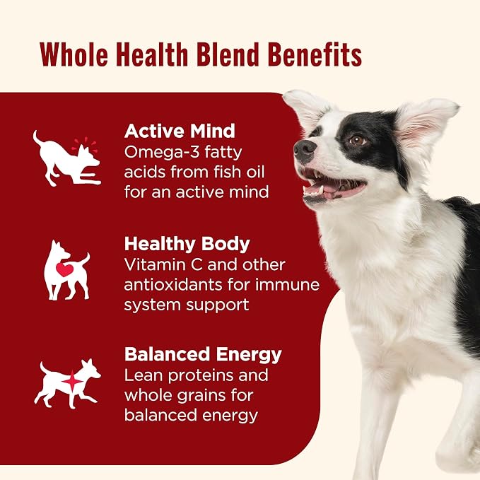 Nutrish Real Beef & Pumpkin Recipe Whole Health Blend Premium Paté Wet Dog Food,13 oz. Can,Packaging May Vary (Rachael Ray),(Pack of 24)