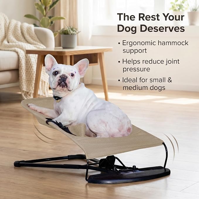 Cat & Dog Rocking Chair - Bouncer Bed for Frenchie, French Bulldog Lounge, Outdoor Portable Foldable Pet Furniture. Adjustable Height, Breathable Mesh, Safety Harness for Small Animals & Puppies
