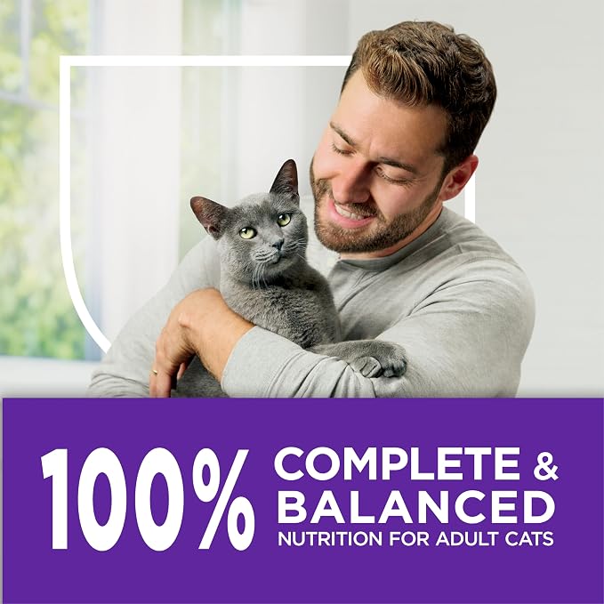 Purina Cat Chow Gentle Sensitive Stomach & Skin Dry Cat Food, 13 lb Bag