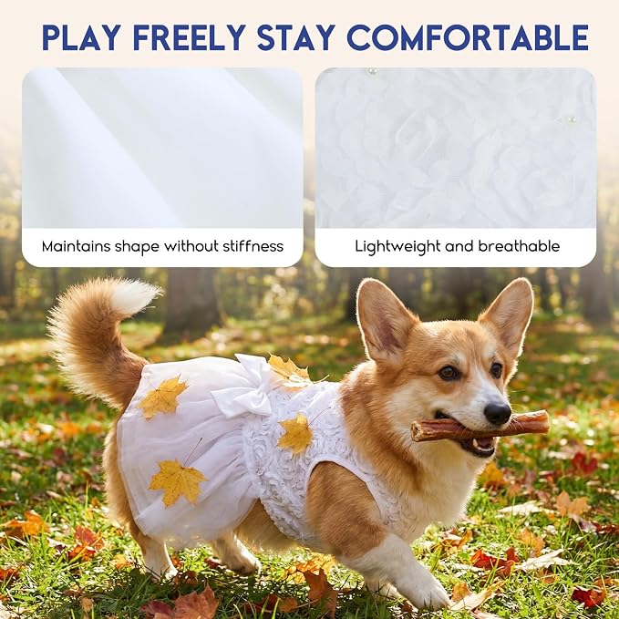 ASENKU Dog Dress Pet Wedding Dress Puppy Birthday Party Outfit, White 2XL | Dog Flower Girl Dress With Leash Hole, Princess Puppy Dress For Weddings, Daily Wear, Fits Small Medium Large Dogs Cats