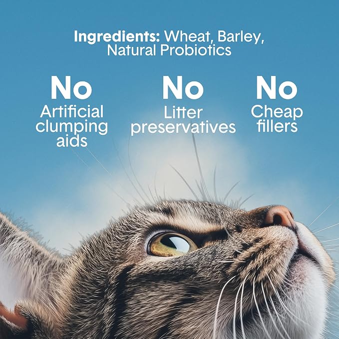 Boxie Probiotic Natural Lightweight Cat Litter 40+ Day Odor Control 16.5 lb