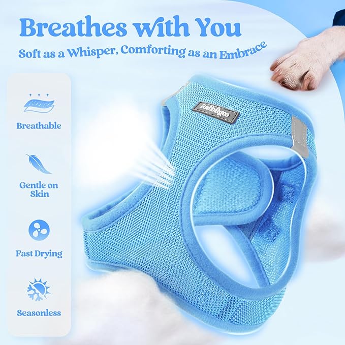 rabbitgoo Dog Harness Small Sized and Leash Set, Step-in Puppy Pet Vest | Light, Soft, Breathable Air Mesh, Easy on and Remove with Hook & Loop, Secure Reflective for Walking, Blue XXXS