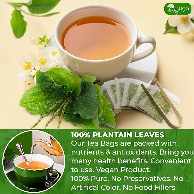 TOG999 Premium 60 Tea Bags Plantain Leaf Tea, 100% Natural Plantain Leaves, Herbal Tea for Daily Wellness, No Additives, Caffeine Free, No Sugar, Non-GMO, Gluten Free