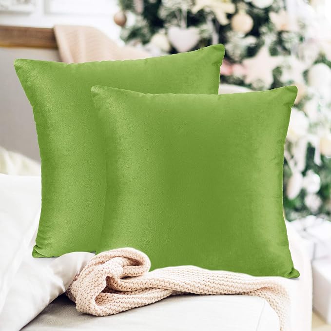 Throw Pillow Inserts Pack of 2 with Velvet Soft Solid Decorative Square Throw Pillow Covers Set for Sofa Couch Car Bedroom, 18X18 Throw Pillows Inserts with 16x16 Washable Cushion Covers, Garden Green