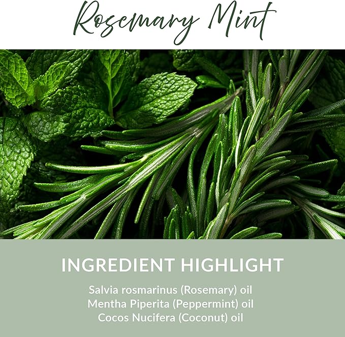 Essence Refresh Kit | Solid Scents Essential Oils | Aromatherapy Nasal Diffuser | Personal Scent Clip for Travel, Work & Everyday Use | Made in USA | Rosemary Mint | Black Pod
