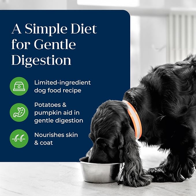 Blue Buffalo Basics Lamb Adult Grain-Free Wet Dog Food, 12.5 oz, 12 ct | Skin & Stomach Care, Real Lamb #1 Ingredient, Limited Ingredient Diet, Antioxidant-Rich LifeSource Bits, Skin & Coat Health