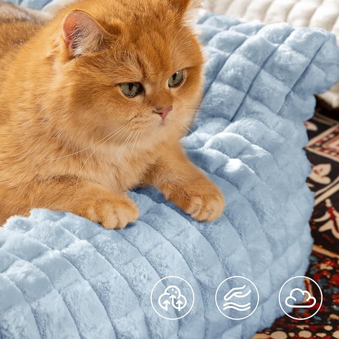 Cat Couch Bed with Fluffy Faux Rabbit Fur for Indoor Cats, 36 Inch | Cute Fuzzy Cat Sofa Recliner With Washable Cover, Suppportive Cozy Pets Couch in 3D Diamond Pattern, Light Blue