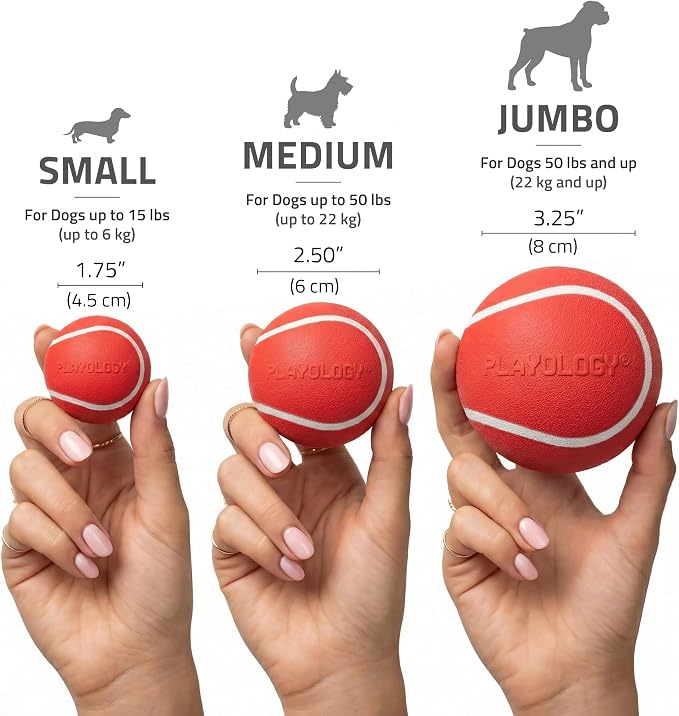 Playology Squeaky Chew Ball Dog Toy - Jumbo, Beef Scent