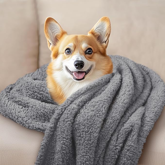 Luciphia 1 Pack 3 Calming Dog Blanket Fluffy Premium Fleece Pet Blankets Soft Sherpa Throw for Dogs Puppy Cat Grey/Beige/HazeBlue Large (41" x31") | Fluffy Throw Blanket Washeble for Crate Bed Couch Indoor. Cozy Pet Blanket, Puppy Essentials Dog gift,G...