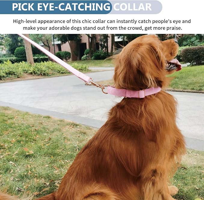 Soft Leather Martingale Dog Collar - Adjustable Rose Gold Limited Slip Collars [Easy to Clean], Stylish Durable Heavy Duty Nylon No Pull Training Collar for Small Medium Large Dogs (XS, Set Pink)