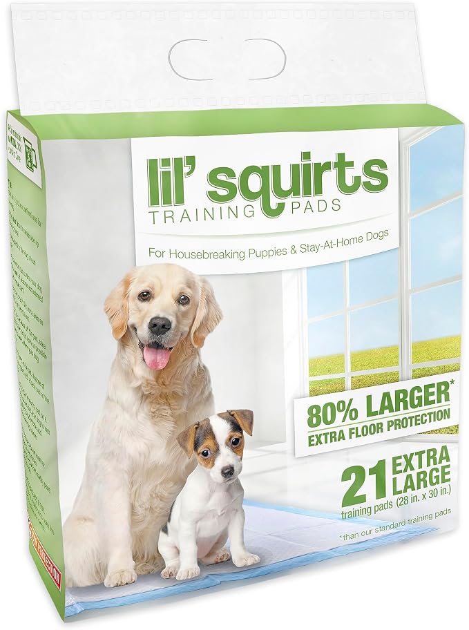 Lil' Squirts Extra Large Training Pads for Housebreaking Puppies, 21 Count | 12-Hour Protection, 6-Ply Construction, Absorbent Core, Leak-Proof Performance, Bleach & Dye Free, Odor Control Training Pads