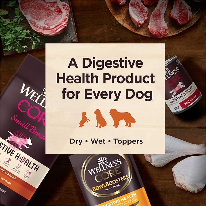 Wellness CORE Digestive Health Adult Dry Dog Food, Wholesome Grain Kibble, Sensitive Stomach, Natural, High Protein, Chicken Recipe, 4 lb Bag
