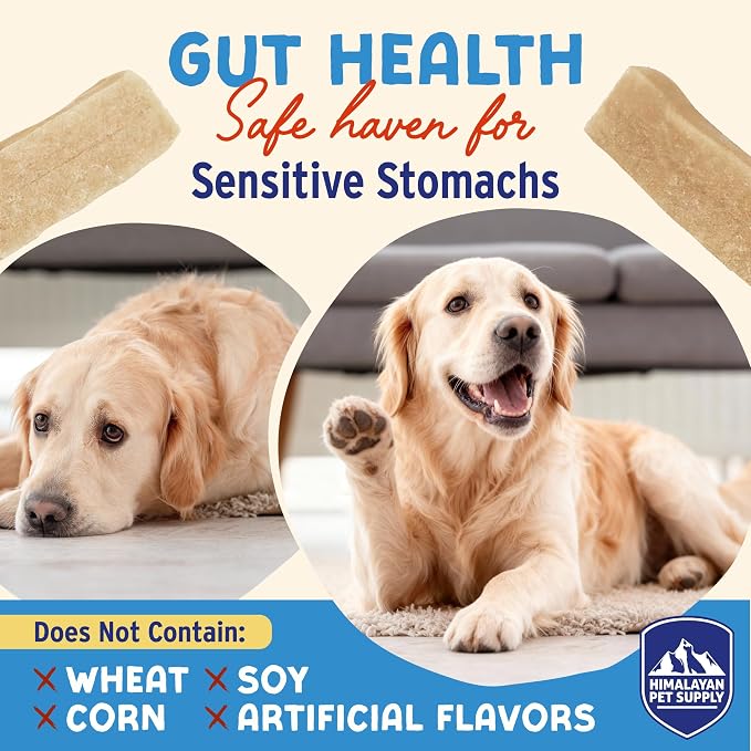 Himalayan Dog Chew Yogurt Sticks, Probiotic Dog Treats, Strawberry 5 Treats | Dog Chews With Prebiotics, Probiotics & Protein, Digestive Support, Lactose & Gluten Free, Natural Dog Treats for All Breeds