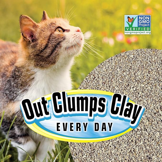 SmartCat All Natural Clumping Cat Litter - Chemical and Dust Free - Alternative to Clay and Pellet Litter - Unscented and Lightweight - 5 Pounds