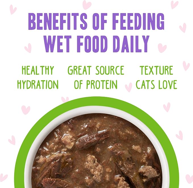 Weruva B.F.F. OMG - Best Feline Friend Oh My Gravy!, Tuna & Lamb Luv Ya with Tuna & Lamb in Gravy Cat Food, 3oz Pouch (Pack of 12)